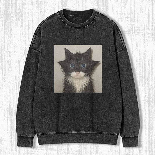 CAT MEME ICON SWEATSHIRTS