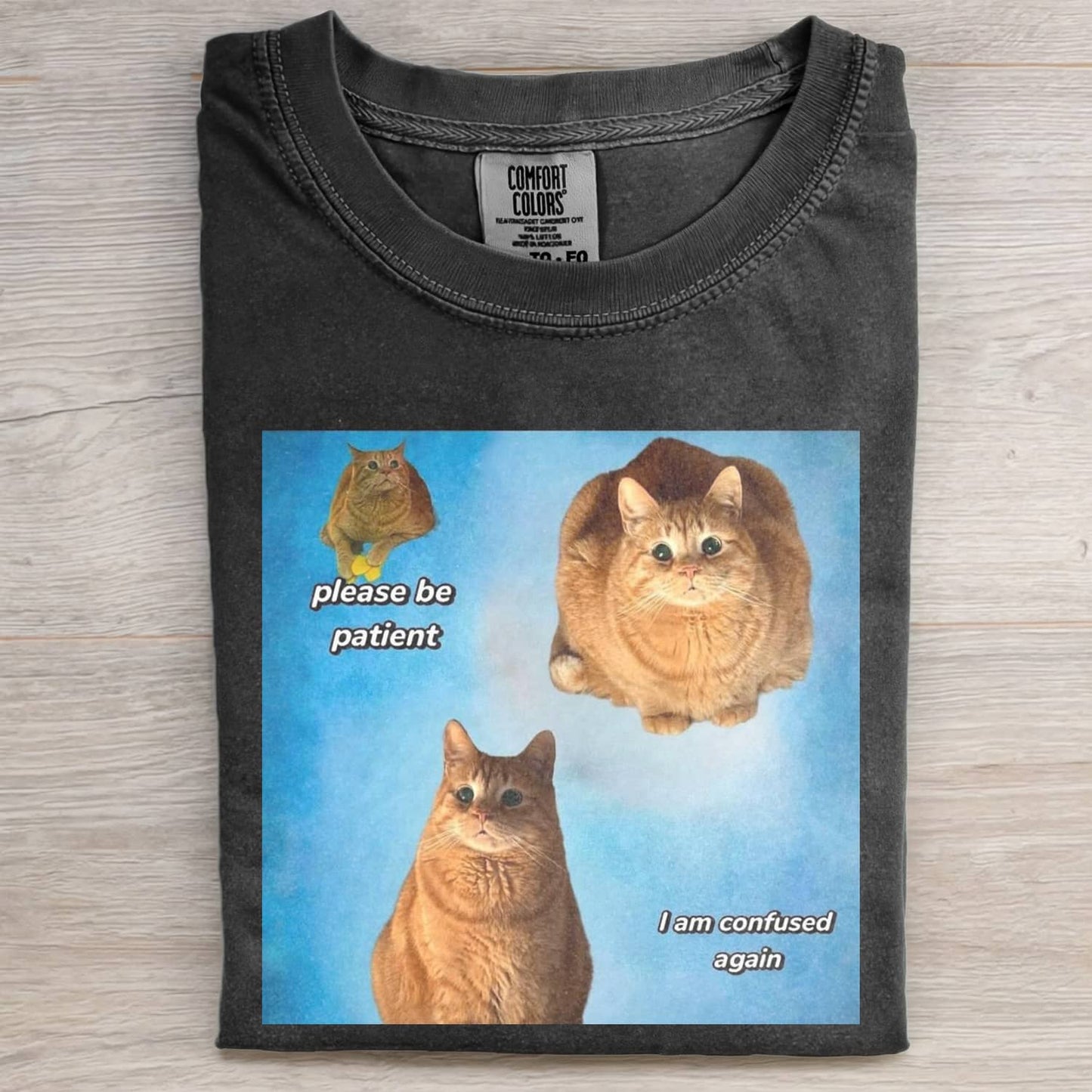 CAT MEME MOOD ICON T-SHIRT