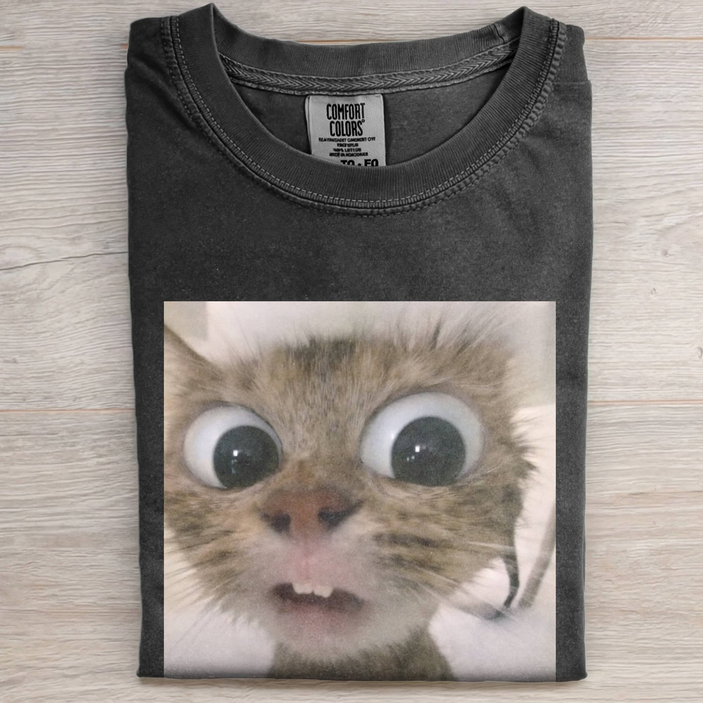 SURPRISED CAT T-SHIRT