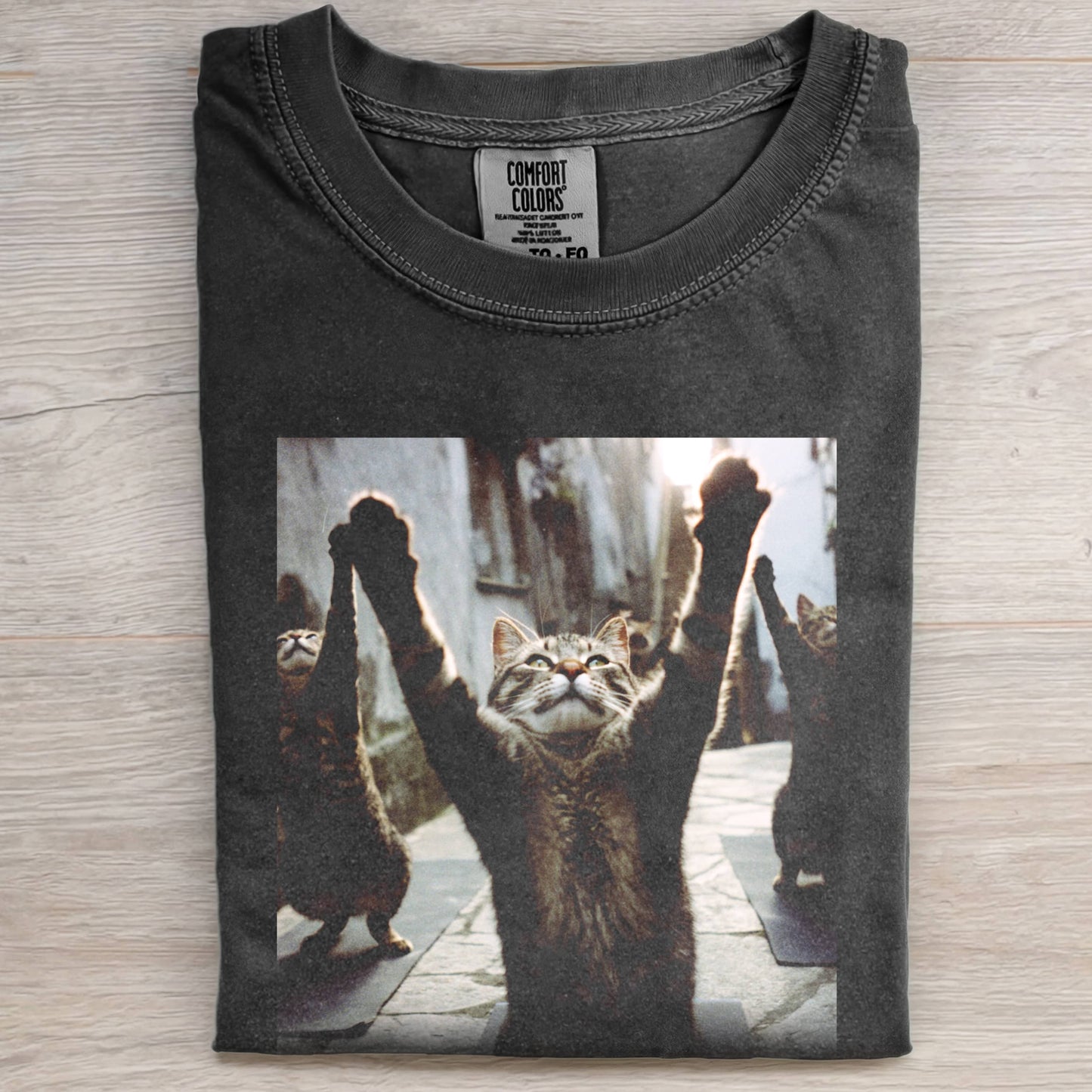 ALLEY ASANAS TEE