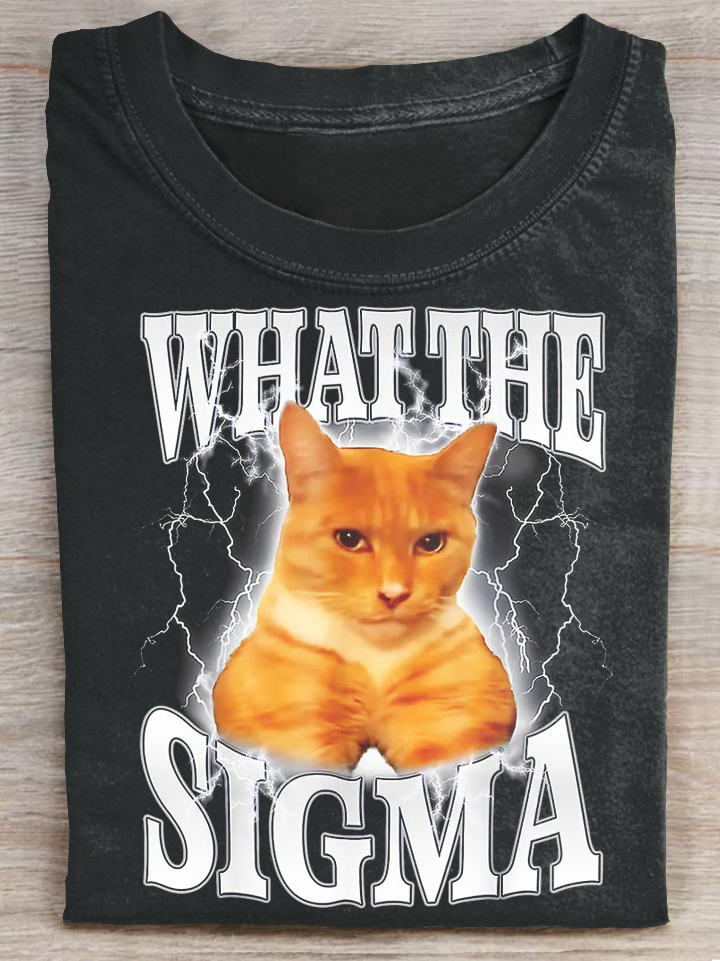 What The Sigma Meme Y2K Cat Ironic Brainrot Meme Art Print Casaul Short Sleeve T-shirt