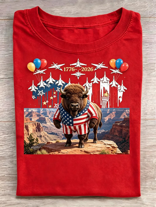 USA 250th Anniversary Bison Flag Fighter Jet Grand Canyon Red Crew Neck Tee