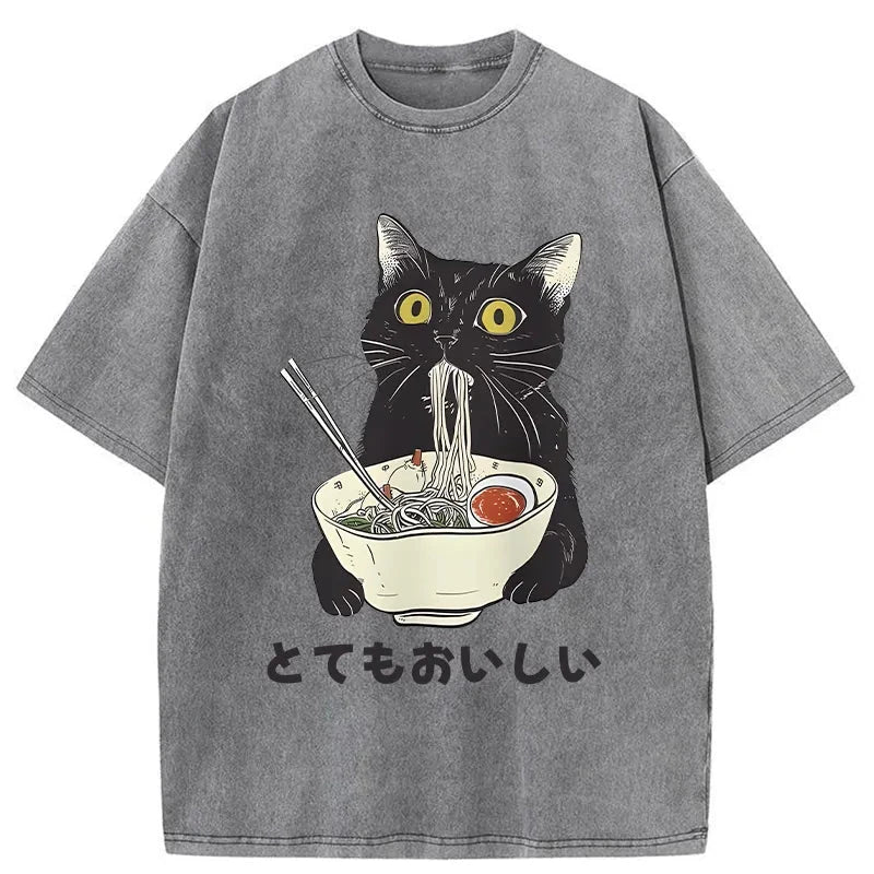 Cats Eat Ramen Noodles Washed T-Shirt