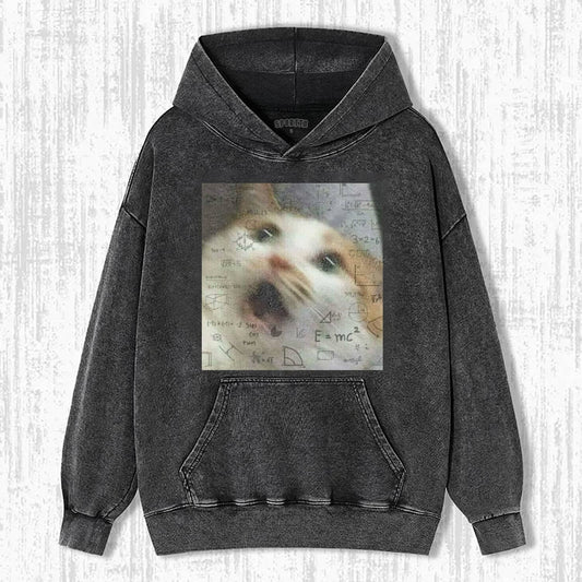 CAT MEME ICON HOODIES