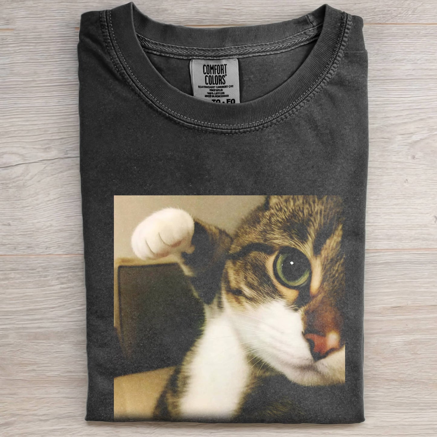 BOXING CAT T-SHIRT