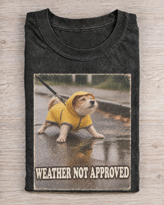 Black Washed Dog Weather Not Approved Graphic Tee